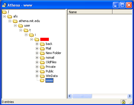 screen shot - remote view