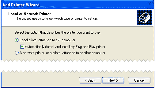 Local or Network Printer window