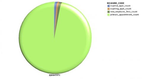 Cognos pie chart